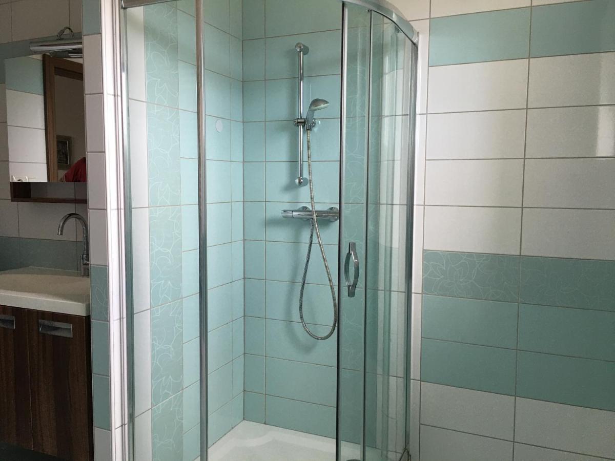 Apartman Krasna Vyhlidka Dolni Benesov 外观 照片